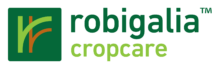 logo 01 1